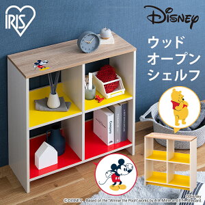 J[{bNX [ ؐ [I q fBYj[ VFt EbhI[vVFt ~bL[}EX ܂̃v[ 킢 I Ebh l炵 Disney fBYj[ qǂ [ 