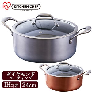  ih Ȃ  24cm ih _ChOCX DG-P24 Vo[ uY Ȃ W KXW ӂ _ChR[g 