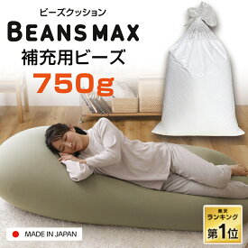 【P10倍★18日23時〜】★ランキング1位★ ビーズクッション用 補充ビーズ 750g 日本製補充ビーズ 専用ビーズ 補充用 ビーズ 発泡ビーズ クッション用 ビーズクッション クッション ビーンズMAX U字サポートMAX 詰め物 軽量 軽量 軽い ギフト