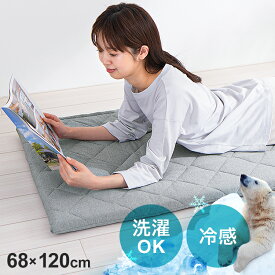 【注目商品】座布団 クッション 冷感ごろ寝布団 68×120cm GFC-6812座布団 リビング ふとん お昼寝 フロアクッション 接触冷感 座布団 抗菌防臭 ペットベッド カバー洗濯OK グレー ブルー ひんやり クール 夏 熱中症対策 予防 冷たい【D】【広告】