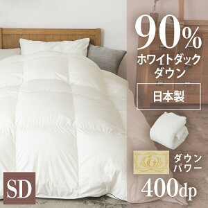 Hѕzc |zc ~ WDD90y C SD AC{[ 10DSW2219-90W0.8IR  Hѕzc Z~_u C  y 􂦂 |zc |zc ӂtB[[2512SI]