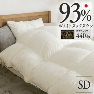 Hѕzc WDD93y v~A SD AC{[ 10DSW2219-93W0.8IR  Hѕzc Z~_u v~A  y 􂦂 |zc |zc ӂtB[[2512SI]