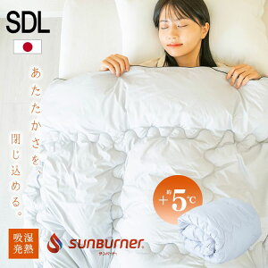 |zc zM ۉ M|ӂƂ SD CgO[ KPEK510A-02GY01AP  TEIJINf To[i Z~_u A~vgH 􂦂[2512SI]