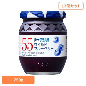 [ő400~OFFN[|] y12Zbgz55 Chu[x[ 250G W u[x[ ʎ AIn^ r 55 250g t[c ʕ An^