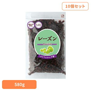 [ő400~OFFN[|] y10zHi@[Yp 580g [Y hCt[c َq p T_ [Og VA gbsO JtHjA  Hi