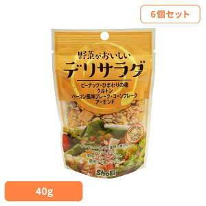 [ő400~OFFN[|] y6z؂fT_ hHi Shoei  gbsO T_ ibc V[h  f 