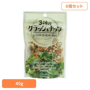 [ő400~OFFN[|] y6z3̃NbVibc hHi Shoei  gbsO T_ ibc NbV 3 ̂܂ 