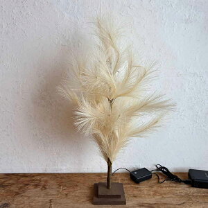 [ő400~OFFN[|] u`c[ ppX 60cm BRXT2530NX}X I[ig NX}Xc[ u`c[ CeA LEDc[ i` C~l[V  VbN SOW