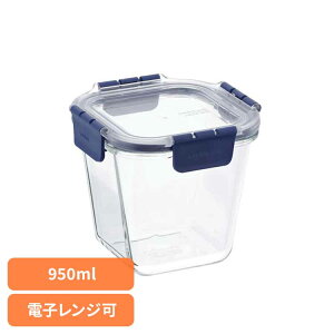 ۑe XNGA 950ml LBG217ۑe  4_bN ϔMKX I[u dqW ① Ⓚ X^bLO xXgR LIV PLUS yBz