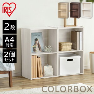 [ő400~N[|]J[{bNXsF2ZbgtA4Ή G{I fBXvCbN [BOX 2i 41.5×s29×68cm CX-2F R~bNbN [{bNX [ {I I 