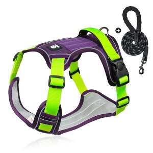 ybgpn[lX[hZbg  n[lX ^ ^  p  SȂ  _ubN bV ɂ ȒPCk hbO o U Oo ʉ@ 