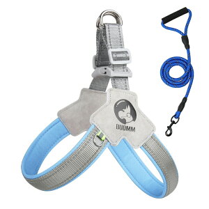 17801602~pn[lX[hZbg  n[lX 1.5m[h ^ ^  p  SȂ CȂ Y^  _ubN bV ɂ ȒP o U