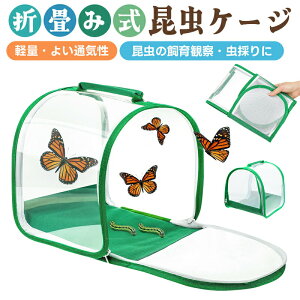 23802142~܂ݒ P[W 甠  P[W ώ@  ঒ ܂肽݃P[W P[X y ʋC lbg bV  ɐB o^tCP[W /ob^/