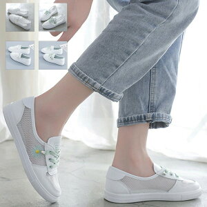 12/04 20:00-23:59yyVX[p[SALE20OFFzbVV[Y tbg [XAbv _炩  ΍  JWA ǂʋC r ɂȂ ₷ i  