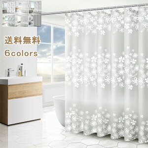 yubNtCf[ő2000~OFFzV[J[e hJr oXJ[e CJ[e t 㕗 V oX[ 킢  A t  Ց ze  ʏ V