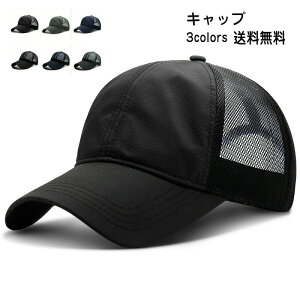 yubNtCf[ő2000~OFFz[ Xq Y  Lbv 싅X ΍L 悯 bV ʋC  TCY  Vv AEghA 21NĐV ꂢ  