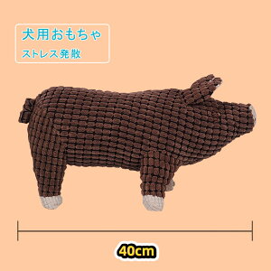 p   ̏o邨 m[Y[N  ? f^PA ybg ybgʂ ӂӂ ^s V ϋv XgXU 