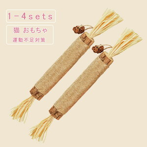 y}\ő2000~OFFz2_Zbg L _ VR LVїp L~g  ނ  ܂т̖ VRS XgX ł߃XeBbN 