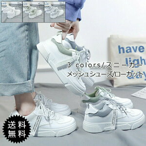 yubNtCf[ő2000~OFFzXj[J[ fB[X bVV[Y [Jbg ʋC Vv y JWA ɂ ~ ʋ ʊw ꂢ IV 