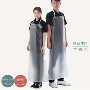 yubNtCf[ő2000~OFFz݌ɏ Gv fB[X Y Lb` B  h Ɨp V[g 񂩂 ̓ Vv Ǝ O|  s̓ Mt