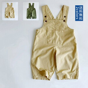 yubNtCf[ő2000~OFFzpc Tybg LbY {gX |Pbgt n 100  I[C xCr[`A[ 80cm 90cm 100cm 110cm ct ʉ  