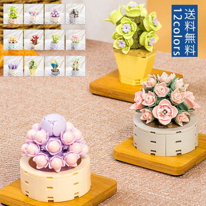 imubN A A ~j  ~ vU[uht[ ͂Ȃ z[fR[Vp q mubN DIY 낢 v[g 蕨   