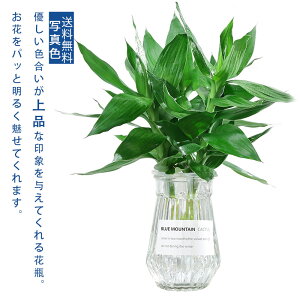 _X[p[SALE 10%OFF^Ԃт 傫 v^[|bg Ԑ KX  hCt[ rO  ʏ Lb` Q _CjO  Mtg v[g Ԋ 