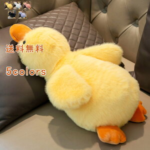 yubNtCf[ő2000~OFFzʂ qǂ ގ ޏ Ƒ oYj ̎q j̎q Aq  _bN CeA }XRbg  u G  X  