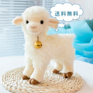 Ђ ʂ qǂ ގ ޏ Ƒ oYj ̎q j̎q  CeA }XRbg  u G  X       