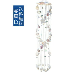 12/04 20:00-23:59yyVX[p[SALE20OFFz VF VRVF   Lk  H|   C 킢 R C Mtg 蕨  