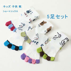 yyVX[p[SALEő50OFFz5Zbg LbY 5{w\bNX V[g\bNX F e Rbg xr[C ̎q \bNX j̎q C  bV 킢 Ȃ ~ 