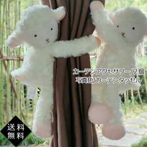 yubNtCf[ő2000~OFFzJ[e^bZ J[eANZT[ 2 r k ʂ J[eߏ  ANZT[  