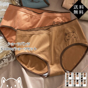 V[cpc V[cZbg 5_Zbg oCJ[  ̎q q LbY WjA Ci[  pc   