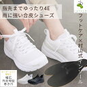 ＼1000円OFFクーポン発行中／ フットケア白と村山式インソールのセット商品 フットケア004 村山式インソール インソー…