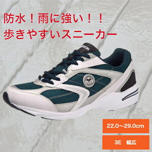 h Xj[J[ ₷ ₷ X|[c wC ejX ^ ^C Y h J̓ C CV[Y ECuh  lCr[