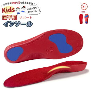 y܂Ƃߊ2_20OFFN[|Ώہz C\[ LbY ~ Ε G ǂ KIDS Ε\h | җ\h Oҗ\h   A[` ~ A[`T|[g NbV TbJ[