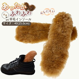 【ポイント20倍 10日1:59迄】 インソール 暖かい あったか ウール 100% もこもこ ムートン ファー 防寒 靴 中敷き メンズ レディース ブーツイン ボア 冷え取り 冷え対策 天然 羊毛 ウールインソール 足元あたたか スノーブーツ ムートン 防寒 /羊毛インソール