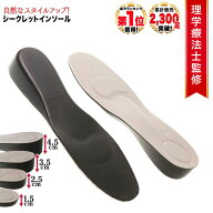 [理学療法士監修◆楽天1位] インソール シークレットインソール 【高さ選べる4サイズ】 インヒール 大小2…