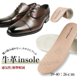 C\[ v {v NbV Ռz  _炩 Y ʋC z R ~ rWlXV[Y X|[cV[Y ۂ̗} C ~ ~ vCɍœK x[W 25cm ` 27