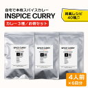 スパイスカレー シリーズ 3種お得セット☆ 本格 カレーキット カレー キット 手作り スパイス セット スパイスセット ミックススパイス ヴィーガン カレー粉 カレーパウダー 無添加 無塩 香辛料 スパイスカレー チキンカレー ポークカレー キーマカレー スープカレー