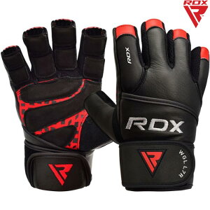 RDX g[jOO[u v  Œ ی tBbglX X|[c  ؃g g[jOObY ؗ ؓ _CGbg ؗ̓g[jO W {v U[ j  Y fB[