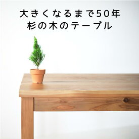 国産なのに安い！　レスキューテーブル　4人掛け　120×72　国産杉　無垢材　天然木　ダイニングテーブル　ウレタン塗装