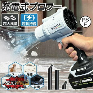 u[ WFbghCu[ [d ^ 250000RPM   dGA_X^[ o |@  | ƒp Ɩp 2024