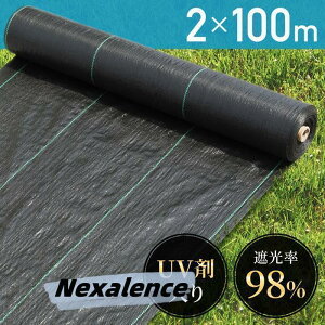 hV[g 2m×100m UVܓ lH G Ő DIY   GV[g [ Gh~V[g   V[g  G쏜 G