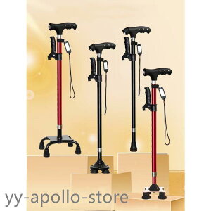 2025V!  Cgt  j  1{/4{ XebL  Lk ܂藧 pi