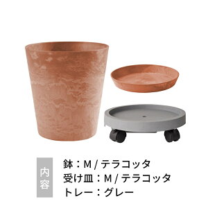 yr[Tzamabro A}u A[gXg[  M ϗtA Aؔ A v^[ 8 9 8 9  Ɍ 킢 Jt }bg  ۂ }[uy y 