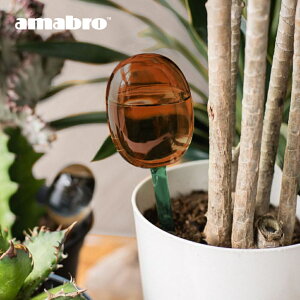 yr[Tzamabro A}u c[g[ fBXyT[  @     EH[^[fBXyT[ A A A ϗtA | |pi