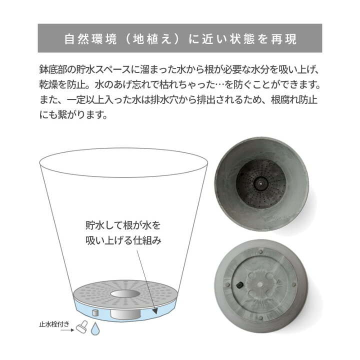 楽天市場 着後レビューで選べる特典 Amabro アートストーン 鉢 受皿セット プランター M 鉢 8 9号 貯水タイプ 水やり忘れ防止 植木鉢 観葉植物 花 多肉植物 ハーブ 鉢植え Art Stone ガーデニング ナチュラル オシャレ カッコイイ シンプル 受け皿付き Instore