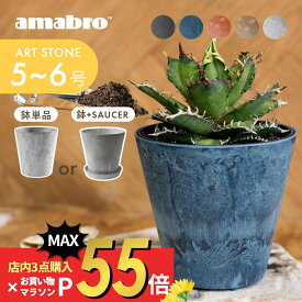 【SS最大P55!要エントリー】amabro アマブロ アートストーン プランター SS 鉢 5-6号 鉢皿 ソーサ― 貯水タイプ 水やり忘れ防止 植木鉢 観葉植物 花 多肉植物 ハーブ 鉢植え ART STONE ガーデニング 割れにくい ナチュラル オシャレ カッコイイ シンプル