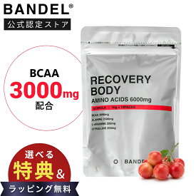 【レビュー特典】BANDEL バンデル リカバリー ボディ アミノ酸サプリ アセロラ味 粉末 BCAA パウダー サプリ アルギニン アラニン シトルリン スポーツドリンク プレワークアウトドリンク 筋トレ サプリメント ジム 運動 スポーツ 健康 ドリンク